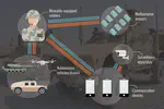 Multi-Agent RL in multiple populations